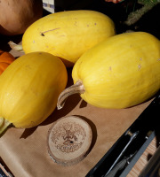 Ferme de Cernunnos - Courge Spaghetti