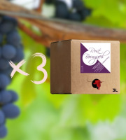 Domaine de la Chopinière du Roy - Lot de 3 BIB de vin rosé 2025 Sec et fuité 3 Litres