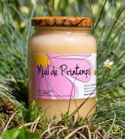 Ferme de la Paumerais - MIEL DE PRINTEMPS (x1) - 500 Gr