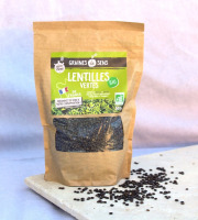 BERRY GRAINES - Lentilles vertes BIO origine France - sachet 500g x10