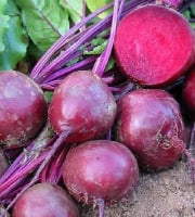 Des Poules et des Vignes à Bourgueil - Betterave rouge 1kg