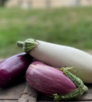 ChâteauFer - Aubergine