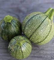 Les Jardins de Gérard - Courgette ronde Bio - 1 kg