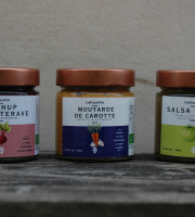 ChâteauFer - Collection - Condiments lactofermentés Châteaufer