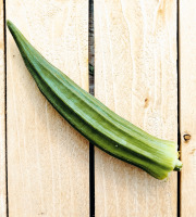 Nature et Saveurs - Ferme Aquaponique et Permacole Astérienne - Gombo frais de la ferme – Abelmoschus esculentus