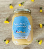 Domaine du Chillou - Miel de fleurs de printemps 500g