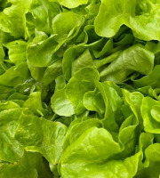 Aux Jardins des Colibris - Panier de salades Bio