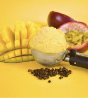 Sÿba - Glaces végétales - 1L - Sorbet Mangue Passion Timut