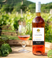 Domaine la Paganie - Rosé Cuvée des filles 6 Bouteilles - Vin de France