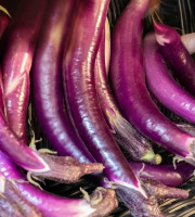 ChâteauFer - Aubergine Japonaise 500g
