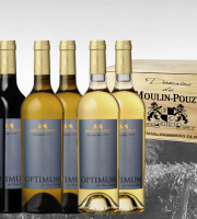 Vignobles Fabien Castaing - Caisse Bois Optimum Grands Vins Domaine de Moulin-Pouzy