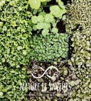 Nature et Saveurs - Ferme Aquaponique et Permacole Astérienne - Micro-pousse en mélange de 3 barquettes
