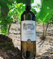 Château Jouvente - Le Blanc confidentiel de Jouvente - AOC Graves 2020 - 1 Bouteille