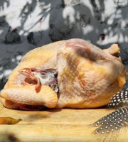 Ferme Avicole des Grands Champs - Pintadon entier 1k9