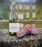 Domaine Sauvagine - Sauvagine Blanc - Vin Bio & cépage résistant