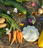 Ferme Sinsac - Panier de legumes variés - 3 kg