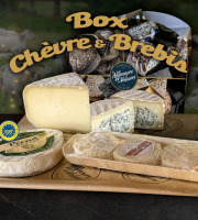 Les Affineurs des Volcans - Coffret Cadeau Chèvre et Brebis 4 Fromages