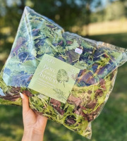 Agriloops - Assortiment de jeunes pousses de saison 6 x 150g