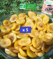 LES JARDINS DE KARINE - Quetsche jaune en quartier surgelée - 5kg