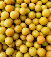 Naturélium - Mirabelles fraîches de France des Côtes de Meuse