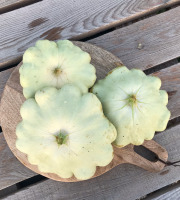 Ferme Sinsac - Pâtissons Bio frais vert ou blanc