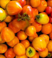ChâteauFer - Tomate Ancienne Mix