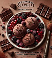 Les Garçons Glaciers - Sorbet BIO Chocolat Caraibes 365ml