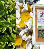 L'Agricueilleur du Suzon - Infusion L'Appel de la couette BIO