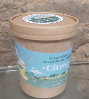 Les Pâturettes de Bodavel - Glace Citron 4x480ml