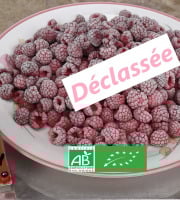 LES JARDINS DE KARINE - Framboises surgelées déclassées à cuire - 0.5kg