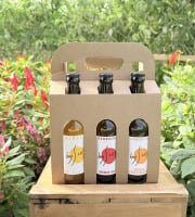 Nature et Saveurs - Ferme Aquaponique et Permacole Astérienne - Coffret Kombucha Bio Bysco - 6x33cl