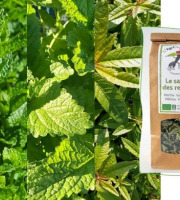 L'Agricueilleur du Suzon - Infusion Salut des repus BIO