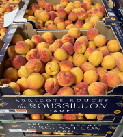 Délit de Gourmandise - Abricots rouges du Roussillon AOP Bio - 4,5 kg