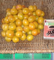 LES JARDINS DE KARINE - Prune Myrobolan jaune - 1kg