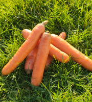 La Brouette d'Alexis - Carottes - 1 kg