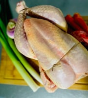 L’Echo Paysan - Chapon fermier du Cantal 1x3.5kg