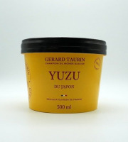 GT Designer Glacier - Sorbet Yuzu Japonais 500ml