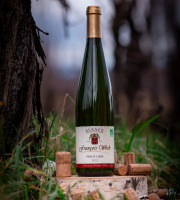 Domaine François WECK et fils - FOIRE AUX VINS : Pinot Gris 2022 - 75cl x6