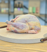 L'Atelier du Loup - Coq faisan prêt à cuire x1