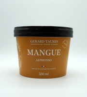 GT Designer Glacier - Sorbet Mangue Alphonso 500ml