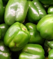 Maréchal Fraicheur - Poivrons - 1 kg