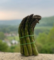 Les Asperges et Framboises du Soissonnais - Asperges Vertes