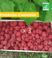 LES JARDINS DE KARINE - Framboise d'automne surgelée - 3 kg