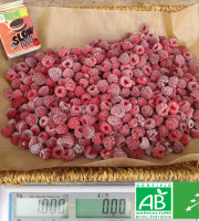 LES JARDINS DE KARINE - Framboise surgelée - 1kg