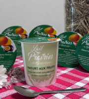 Lait Prairies du Boulonnais - Yaourt brassé Mangue-passion - 6 x 125g