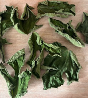 Domaine du Chillou - Feuilles de figuier Bio séché