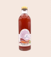 Mama Kombucha - Kombucha Baies de sureau, Fruits séchés - Acapulco