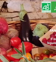 LES JARDINS DE KARINE - PANIER modulable / Légumes bios ROUGE VIOLET