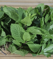 Midiflore - Aromates fraiches pour Cuisine Libanaise 40g