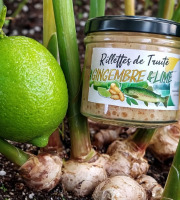 Nature et Saveurs - Ferme Aquaponique et Permacole Astérienne - Rillettes de Truite Blanche Lime & Gingembre de la Ferme